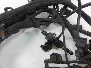 2009 BMW K1300 S K40 Main & Engine Wiring Harness No Cut 61117712918 12517726207 | Mototech271