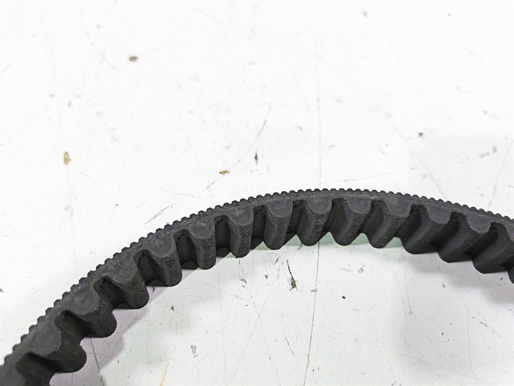 2021 Harley Softail FLSL Slim Rear Drive Belt 134T 24mm 40000018 {{ shop.shopifyCountryName }} - Mototech271