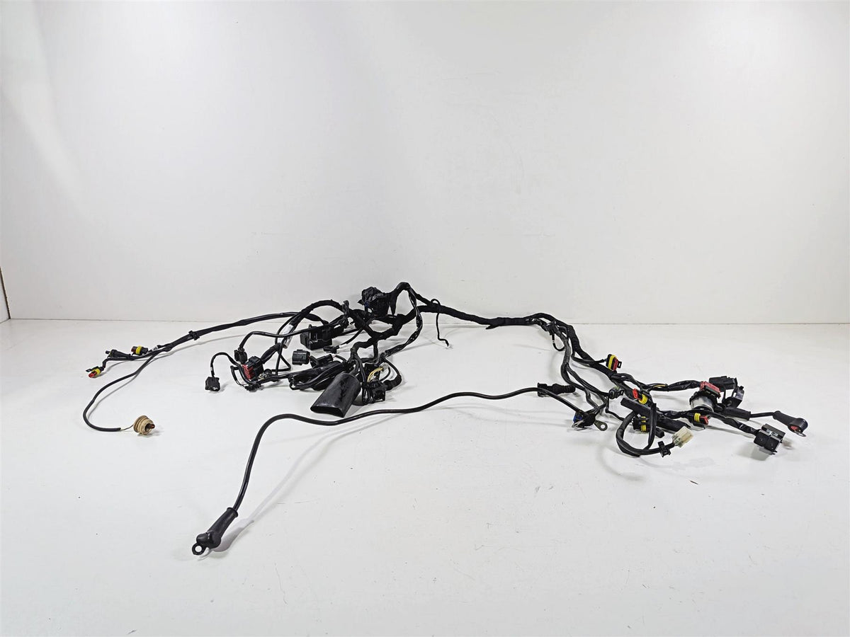 2009 Ducati Hypermotard 1100 S Wiring Harness Loom - Read 51015441A-Mototech271