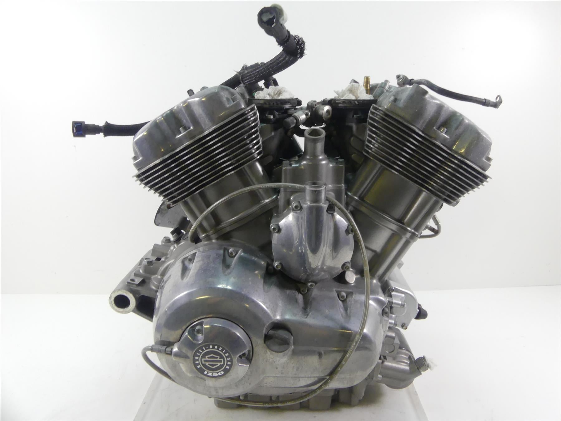 2015 Harley VRSCF Muscle Rod Running 1250ccm Engine Motor 17K - Video 19974-17 | Mototech271