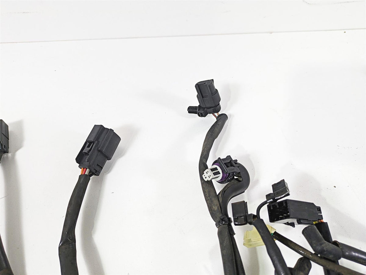 2008 Harley FLSTC Softail Heritage Main Wiring Harness Loom 70431-08A {{ shop.shopifyCountryName }} - Mototech271