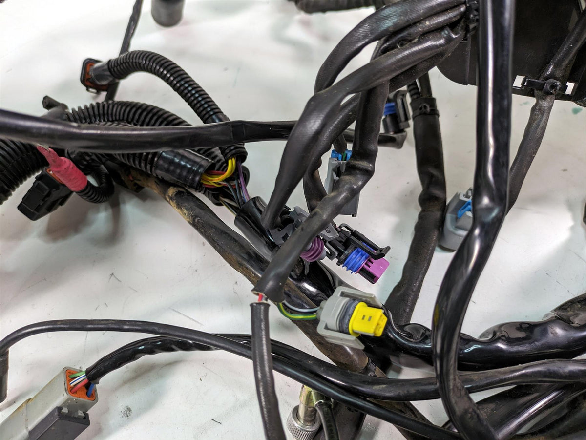 2006 Harley Touring FLHTCUI Electra Glide Main Wiring Harness Loom 71000-06 {{ shop.shopifyCountryName }} - Mototech271