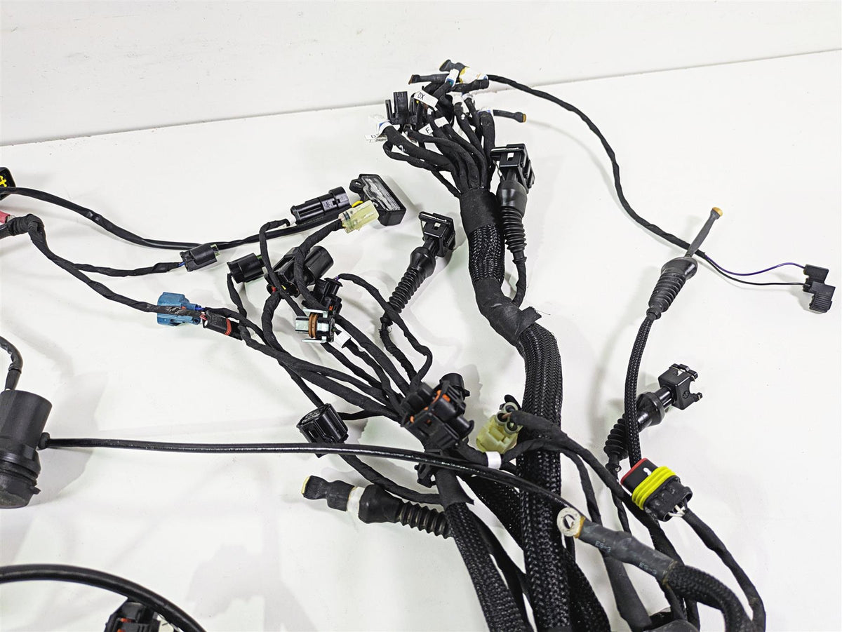 2022 Ducati Hypermotard 950 Wiring Harness Loom - No Cuts 5101D071E {{ shop.shopifyCountryName }} - Mototech271