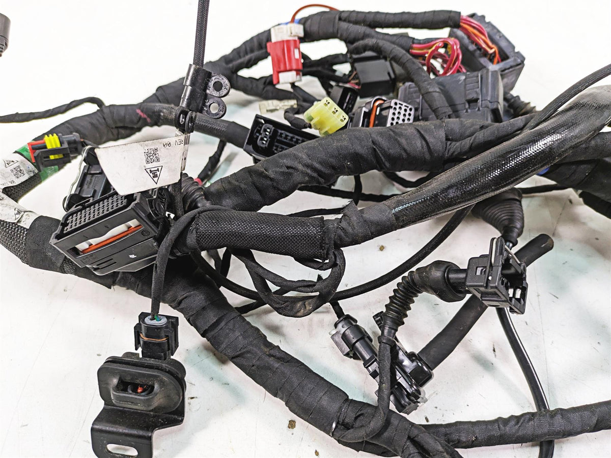 2020 Ducati Scrambler 1100 Sport Pro Wiring Harness Loom -No Cuts 5101F841E {{ shop.shopifyCountryName }} - Mototech271