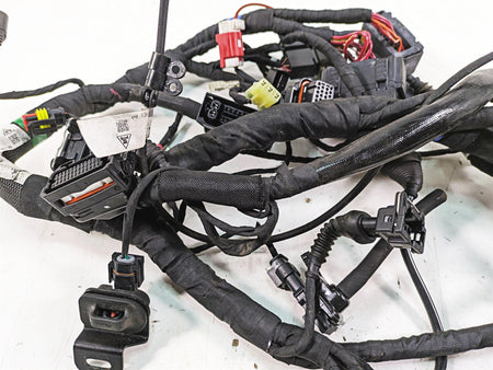 2020 Ducati Scrambler 1100 Sport Pro Wiring Harness Loom -No Cuts 5101F841E {{ shop.shopifyCountryName }} - Mototech271