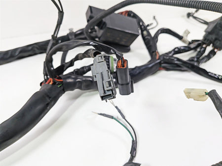 2004 Harley Touring FLTRI Road Glide Main Wiring Harness Loom EFI 70985-04-Mototech271