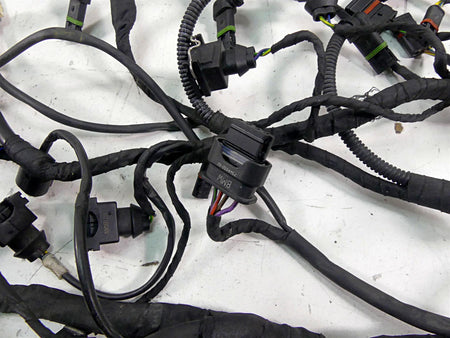 2018 BMW S1000RR K46 Wiring Harness & Engine Harness Esa 12518556757 61118355084 {{ shop.shopifyCountryName }} - Mototech271