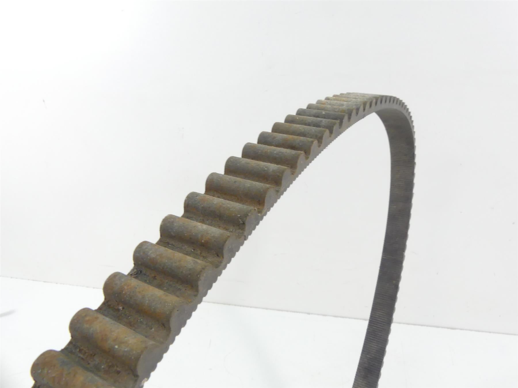 2002 Harley XL1200 Sportster Rear Drive Belt 128T 40022-91 {{ shop.shopifyCountryName }} - Mototech271