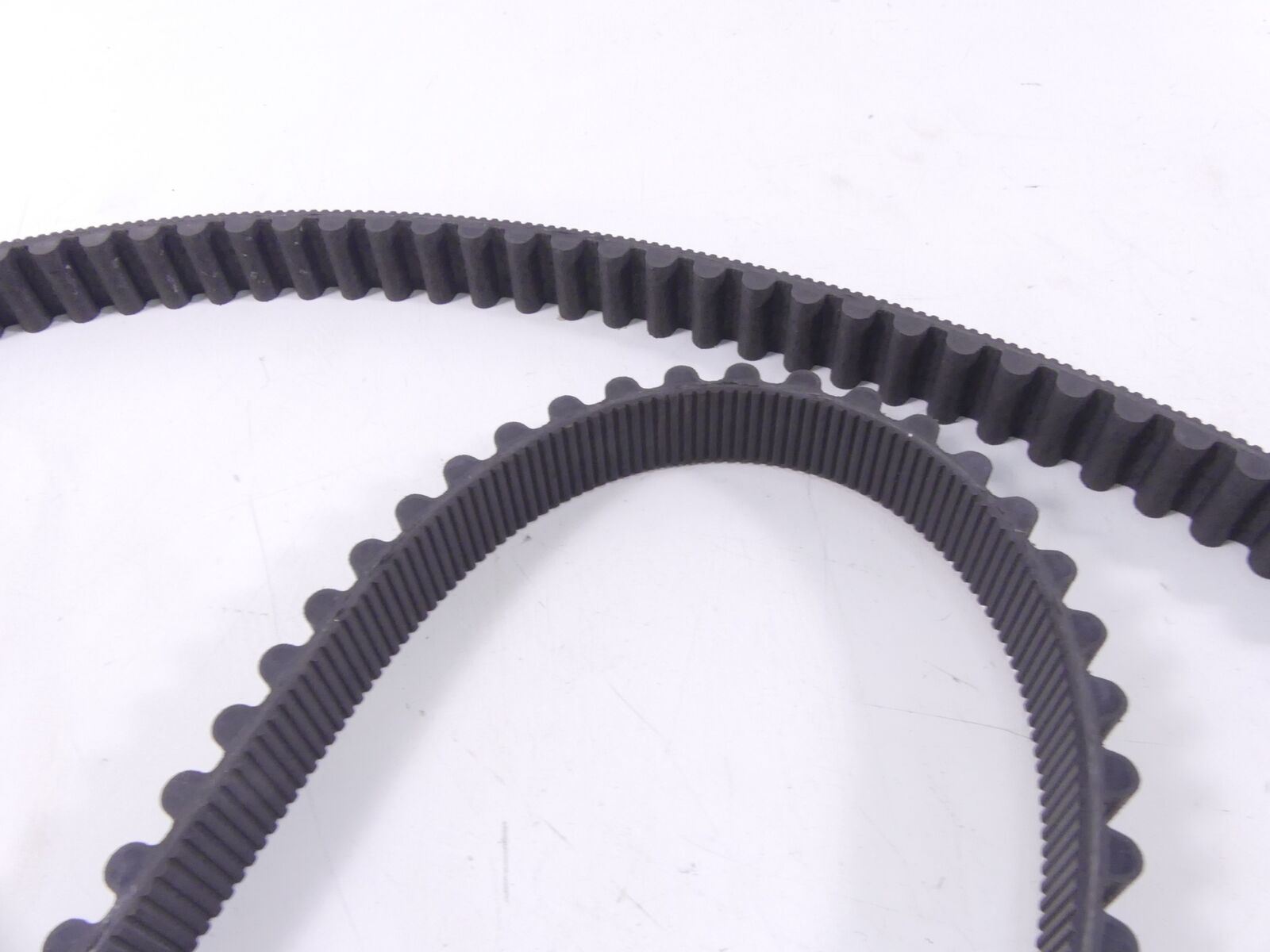 2009 Harley Sportster XR1200 Rear Drive Belt 137T 1" 40591-07 {{ shop.shopifyCountryName }} - Mototech271