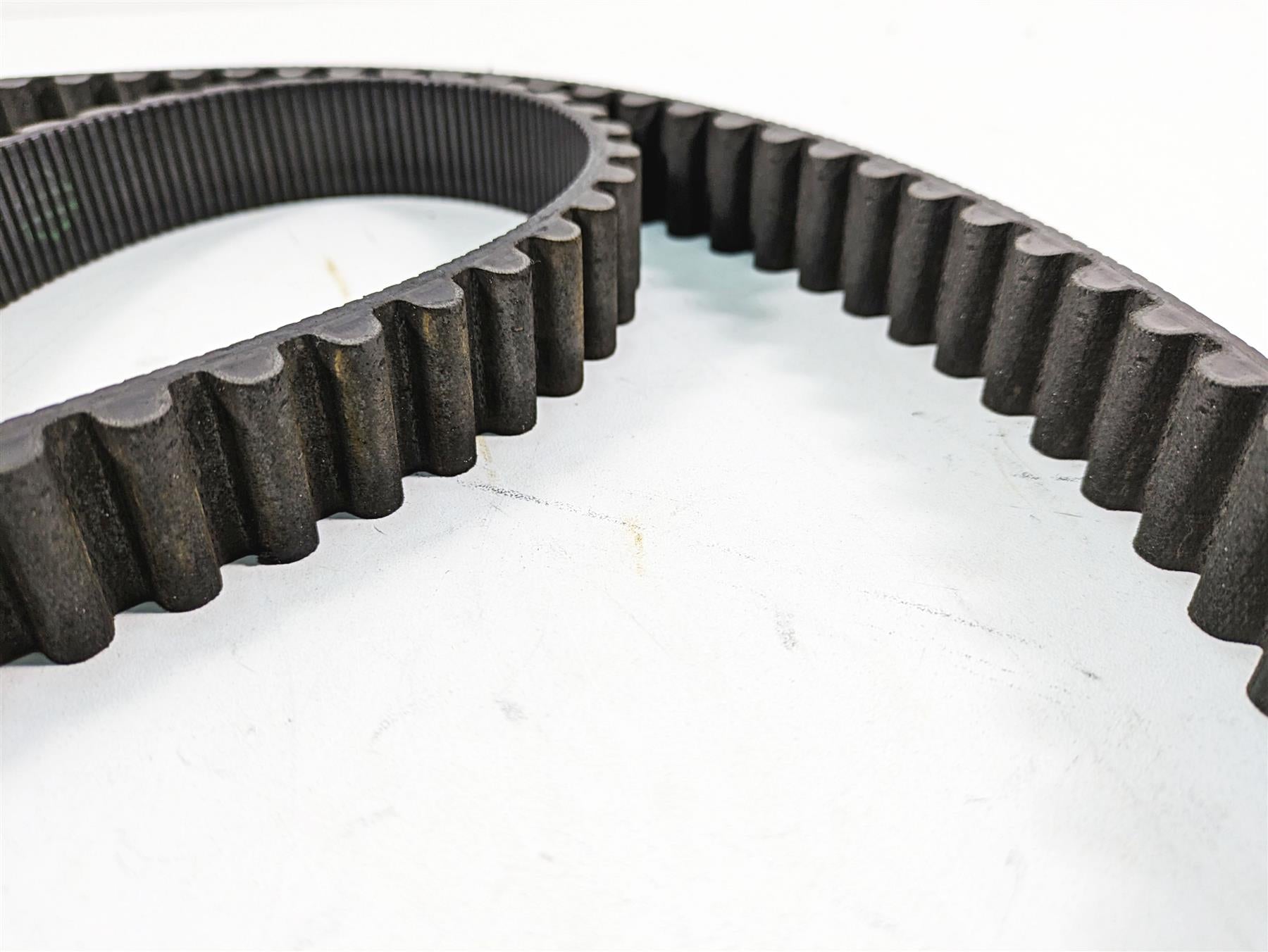 2006 Harley Sportster XL1200 Rear Drive Belt 1-1/8" 137T 40571-04B {{ shop.shopifyCountryName }} - Mototech271