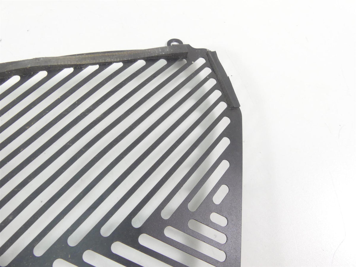 2016 BMW S1000XR K49 Aftermarket Radiator Guard Grill Cover {{ shop.shopifyCountryName }} - Mototech271