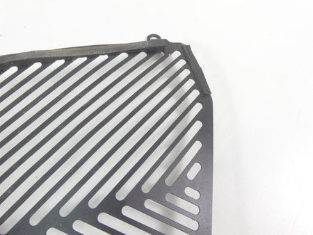 2016 BMW S1000XR K49 Aftermarket Radiator Guard Grill Cover {{ shop.shopifyCountryName }} - Mototech271