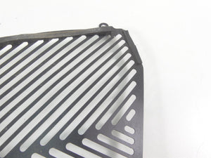 2016 BMW S1000XR K49 Aftermarket Radiator Guard Grill Cover