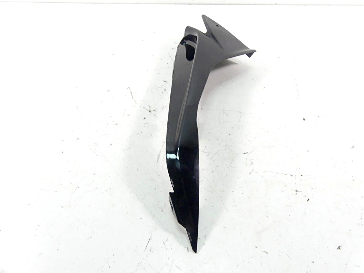 2018 BMW S1000RR K46 Left Badge Carrier Panel Cover Fairing - Black 46638548157 {{ shop.shopifyCountryName }} - Mototech271