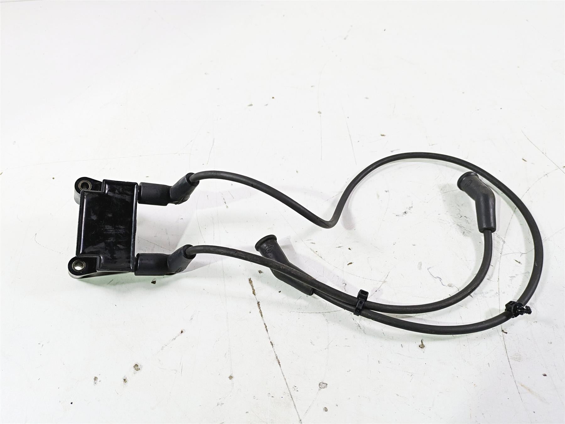 2016 Harley Touring FLTRX Road Glide Ignition Coil & Wires Set Delphi 31696-07A {{ shop.shopifyCountryName }} - Mototech271
