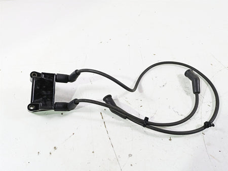 2016 Harley Touring FLTRX Road Glide Ignition Coil & Wires Set Delphi 31696-07A {{ shop.shopifyCountryName }} - Mototech271