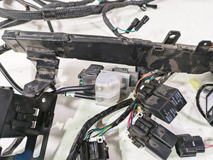 2020 Triumph Daytona 765 Moto2 Wiring Harness Loom - No Cuts T2505041