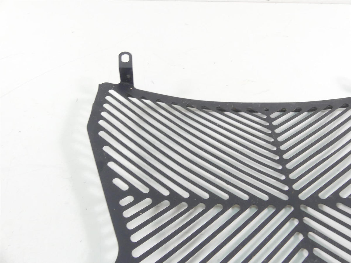 2016 BMW S1000XR K49 Aftermarket Radiator Guard Grill Cover {{ shop.shopifyCountryName }} - Mototech271