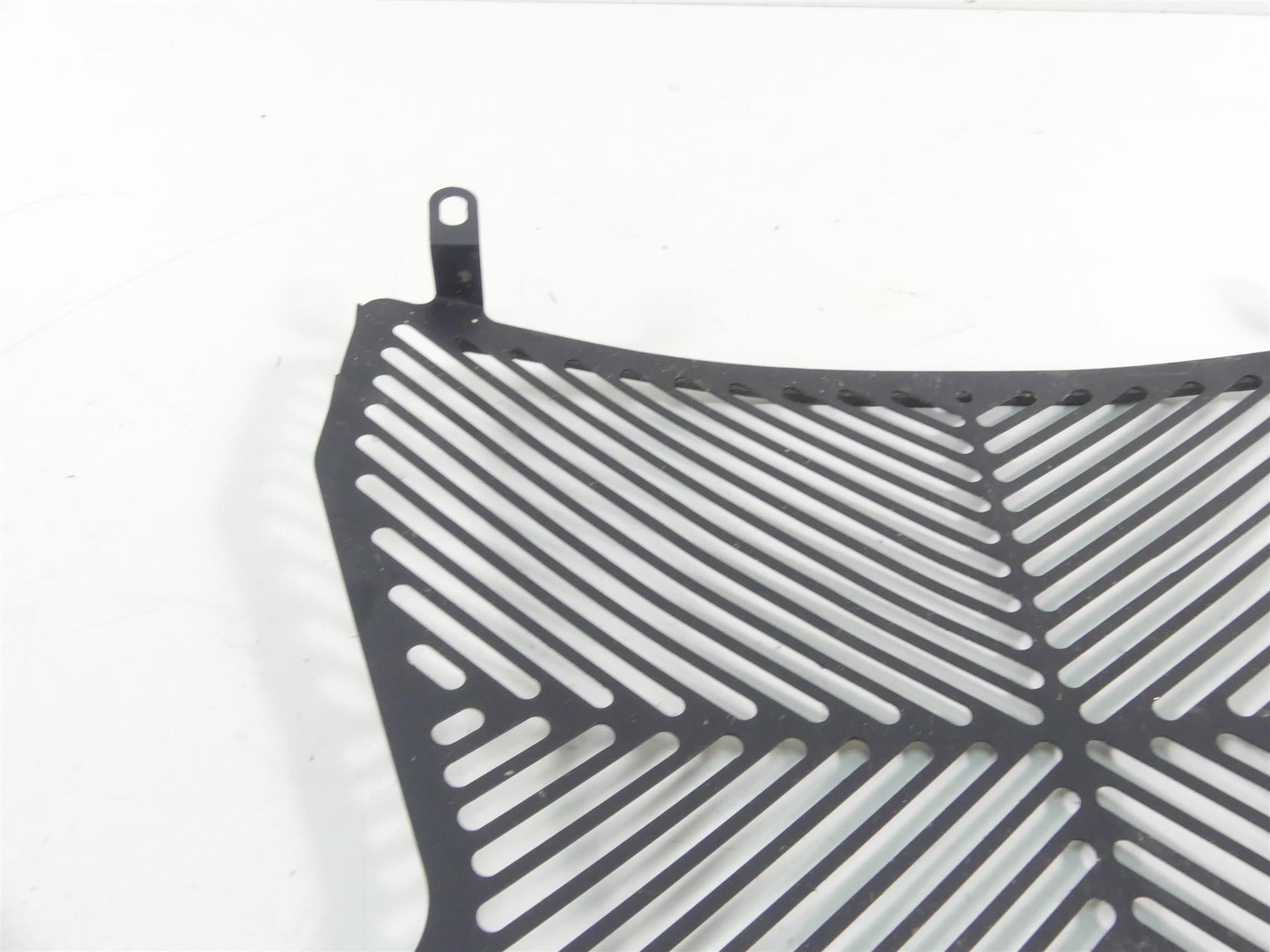 2016 BMW S1000XR K49 Aftermarket Radiator Guard Grill Cover {{ shop.shopifyCountryName }} - Mototech271