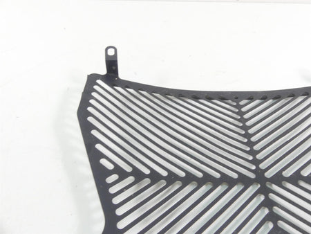 2016 BMW S1000XR K49 Aftermarket Radiator Guard Grill Cover {{ shop.shopifyCountryName }} - Mototech271