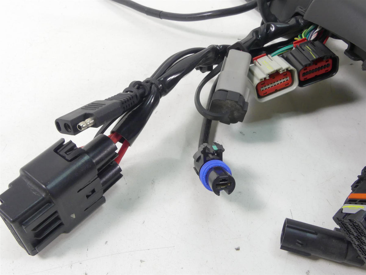 2020 Harley XL1200 CX Sportster Roadster Wiring Harness Keyless Abs 69200479B {{ shop.shopifyCountryName }} - Mototech271