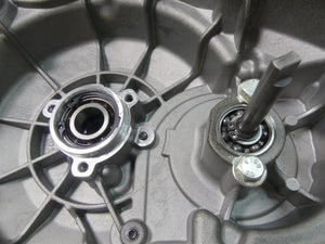 2015 Ducati Diavel Dark Left Engine Stator Generator Cover + Waterpump 24231171A | Mototech271