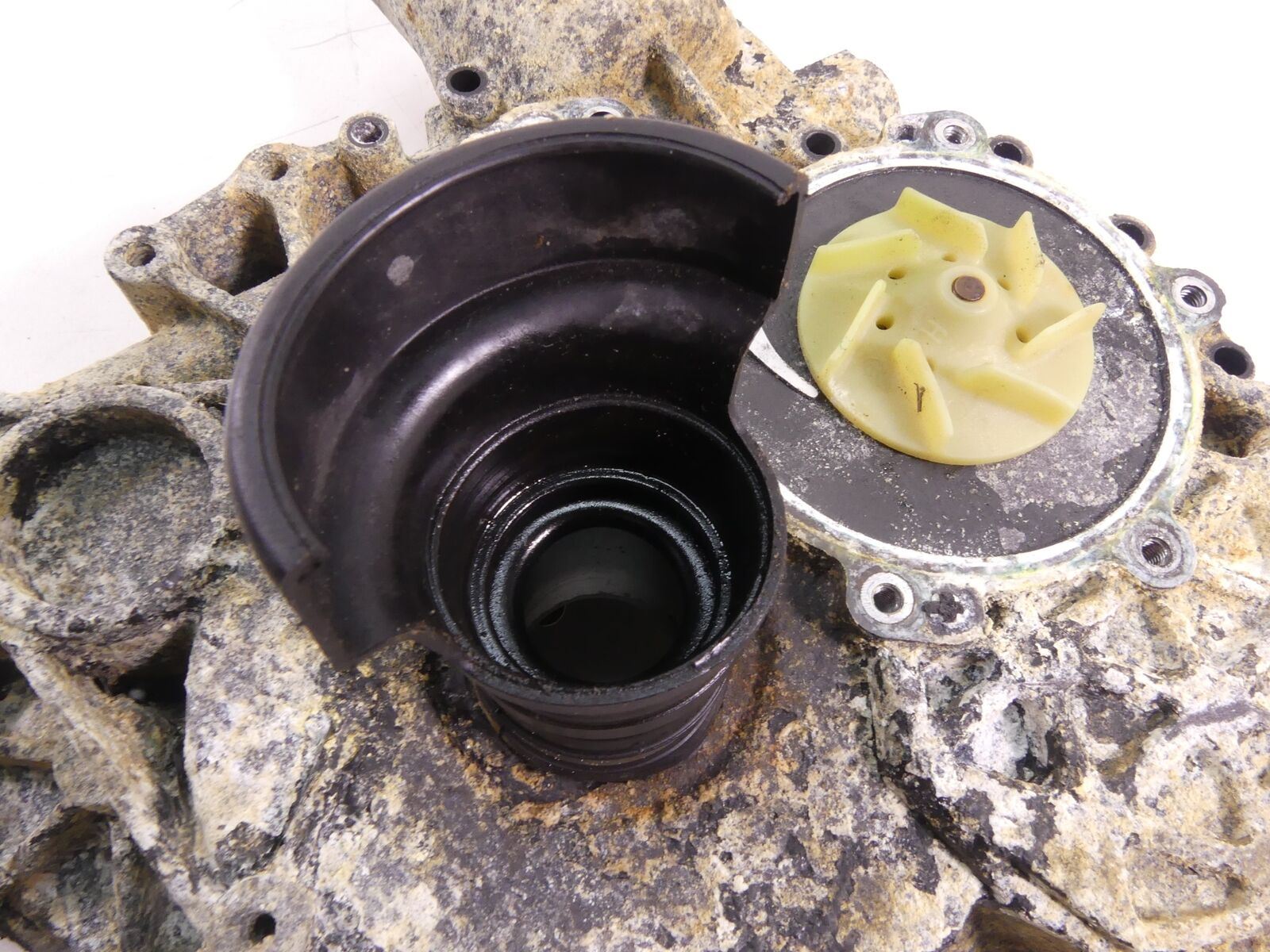2011 Sea-Doo 4-Tec GTI SE 130 Timing Drive & Water Pump Cover 420910527 {{ shop.shopifyCountryName }} - Mototech271