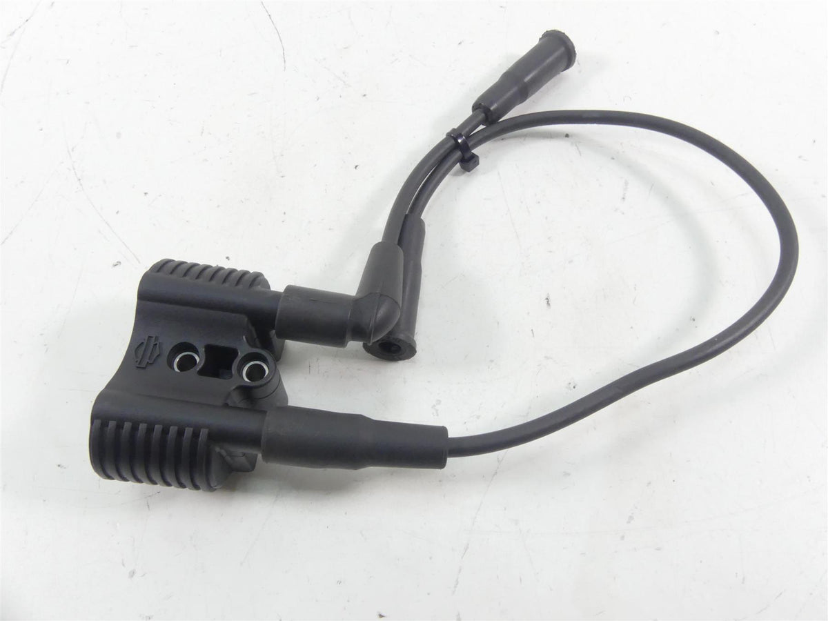 2020 Harley Sportster XL1200 NS Iron Delphi Ignition Coil Wires & Plugs 31656-07 {{ shop.shopifyCountryName }} - Mototech271