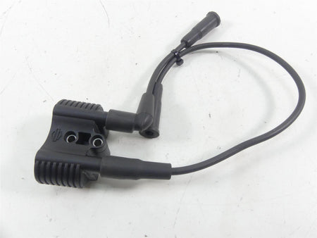 2020 Harley Sportster XL1200 NS Iron Delphi Ignition Coil Wires & Plugs 31656-07 {{ shop.shopifyCountryName }} - Mototech271