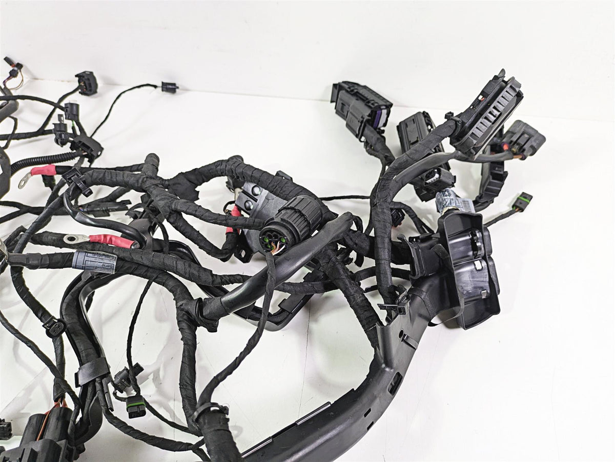 2016 BMW R1200RS K54 Engine & Main Wiring Harness Set 61118552124 12518544470 {{ shop.shopifyCountryName }} - Mototech271
