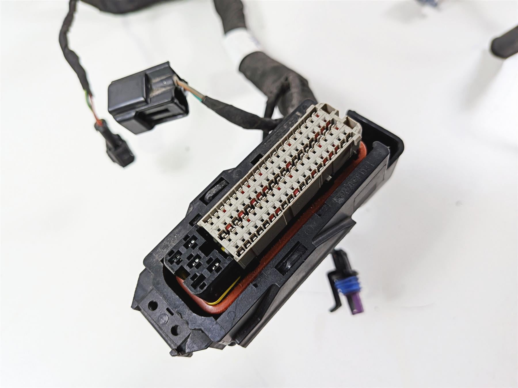 2023 Harley Adv RA1250 S Pan America Wiring Harness Loom FOR PARTS 69202185B {{ shop.shopifyCountryName }} - Mototech271