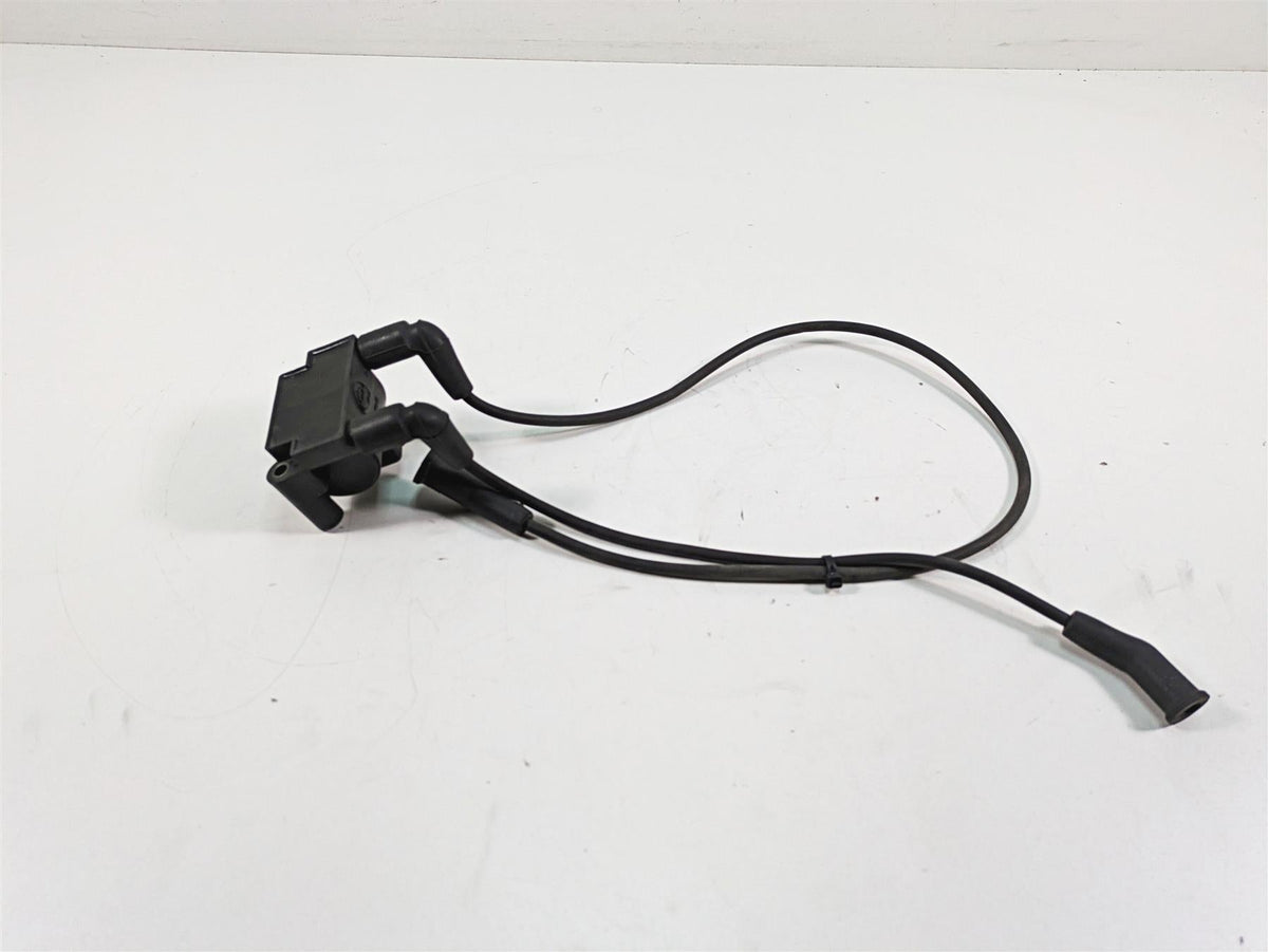2011 Harley Touring FLTRU Road Glide Delphi Ignition Coil Wires Plugs 31696-07A {{ shop.shopifyCountryName }} - Mototech271