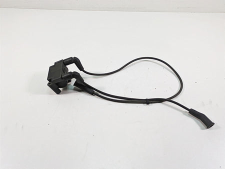 2011 Harley Touring FLTRU Road Glide Delphi Ignition Coil Wires Plugs 31696-07A {{ shop.shopifyCountryName }} - Mototech271