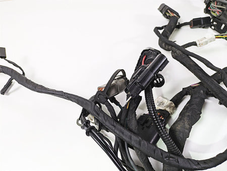 2019 Harley Softail FXDR 114 Wiring Harness Loom READ 69201492 {{ shop.shopifyCountryName }} - Mototech271