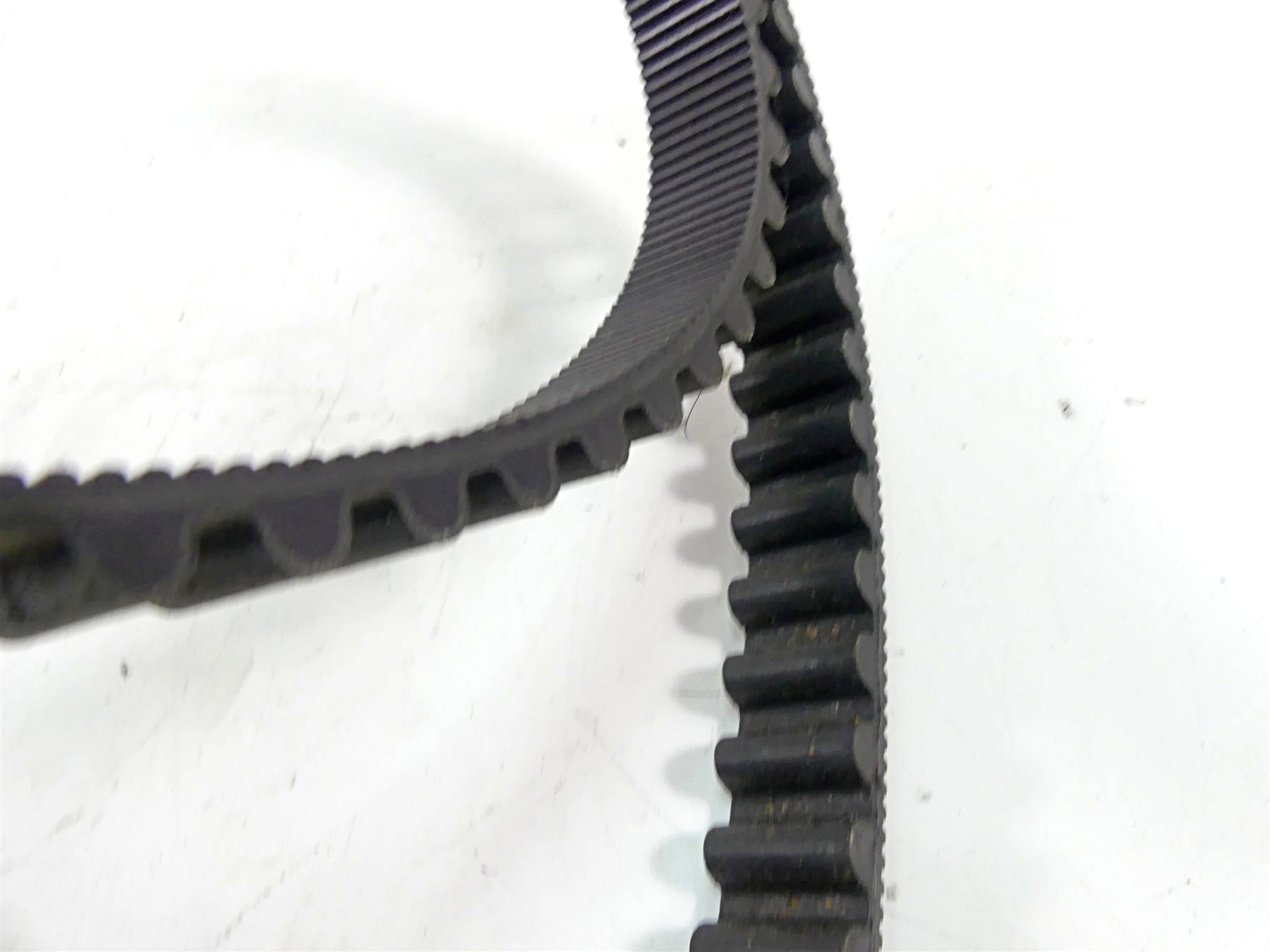2019 Indian Chieftain Classic Rear Main Drive Belt 125T 24mm 3211168 {{ shop.shopifyCountryName }} - Mototech271