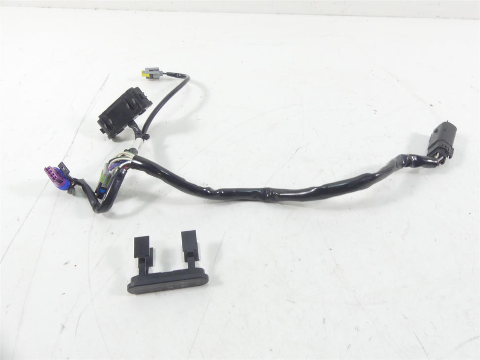 2013 Harley FXDWG Dyna Wide Glide Instrument Indicator Lights & Wiring 72669-12 {{ shop.shopifyCountryName }} - Mototech271
