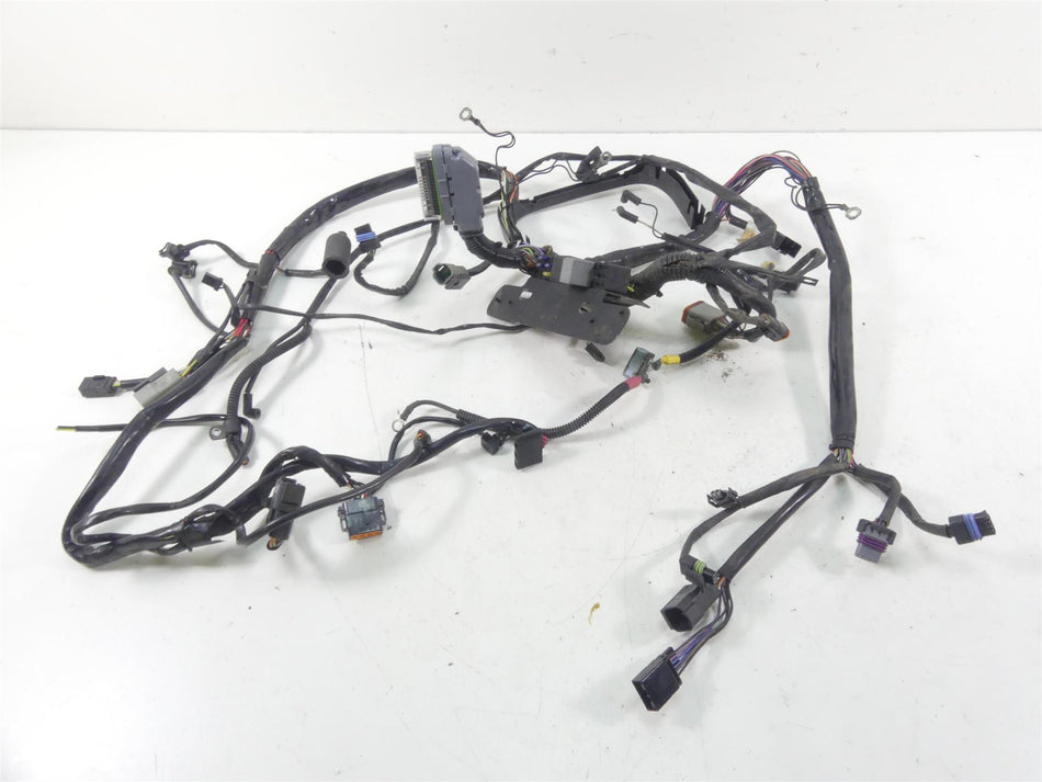 2002 Harley Softail FXSTDI Deuce Main Wiring Harness Loom - No Cut 70431-01 {{ shop.shopifyCountryName }} - Mototech271