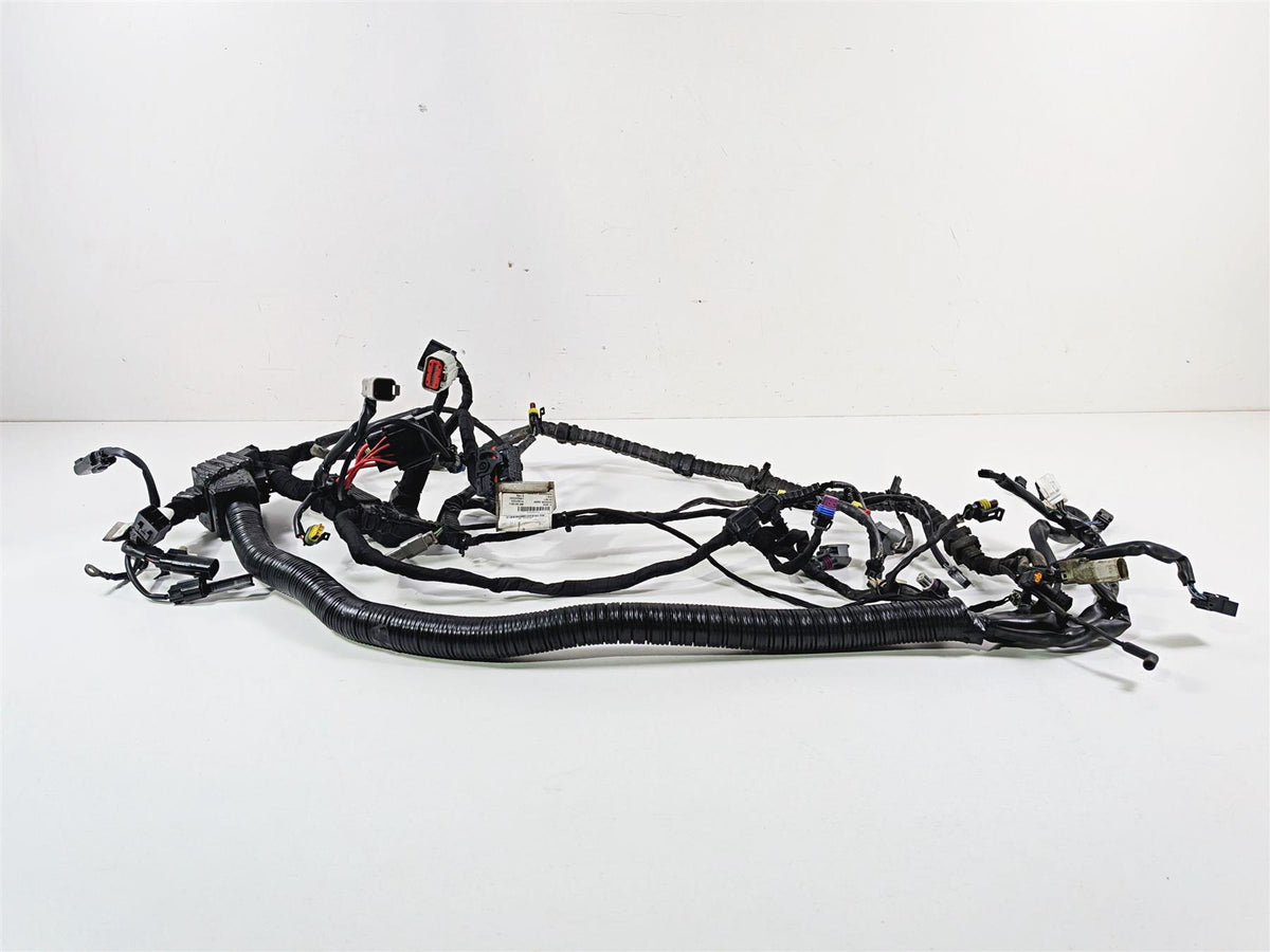 2014 Harley FXDL Dyna Low Rider Main Wiring Harness Loom Non Abs - Read 69200455 {{ shop.shopifyCountryName }} - Mototech271