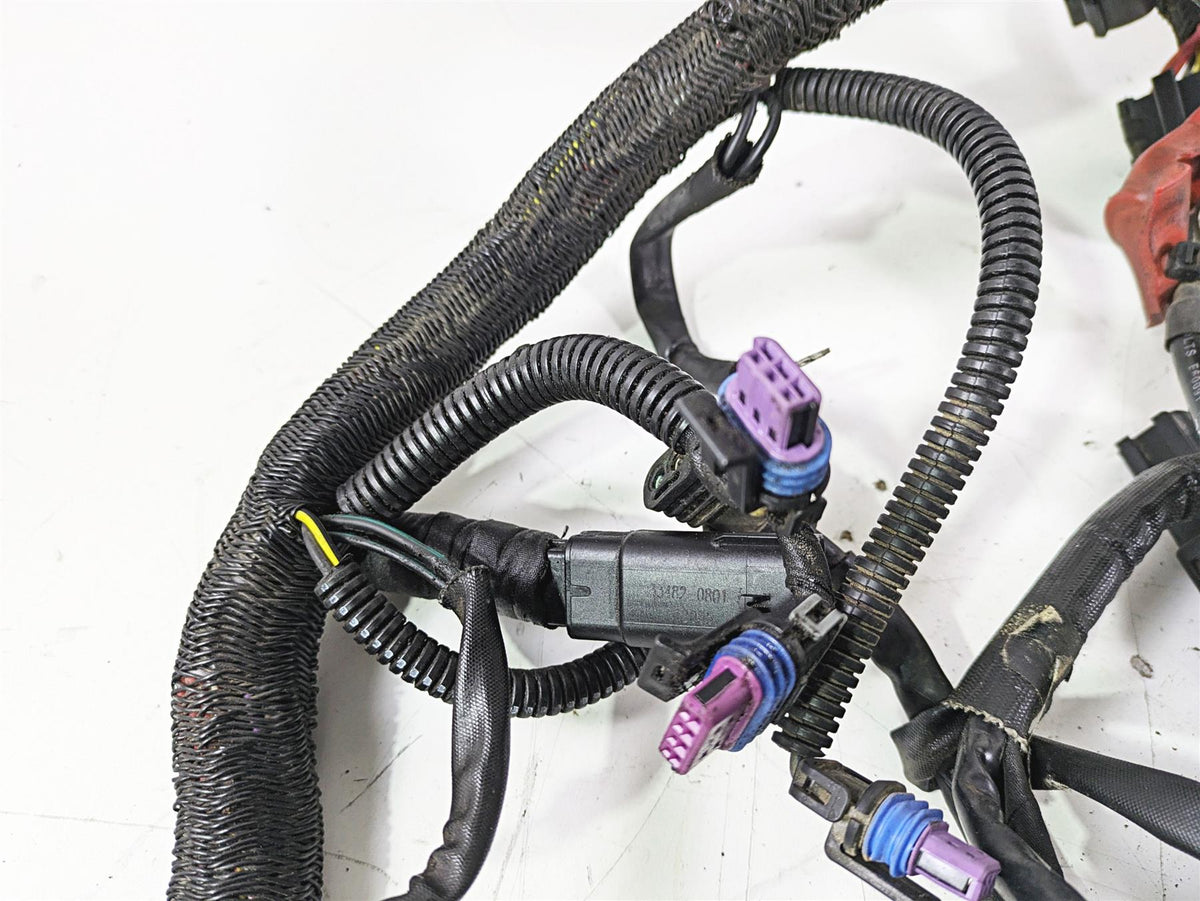 2012 Harley VRSCF Muscle V Rod Main Wiring Harness Non Abs 69200094 {{ shop.shopifyCountryName }} - Mototech271