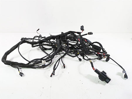 2018 BMW R1200GS GSW K50 Main & Engine Wiring Harness Abs 61118394905 8544469 {{ shop.shopifyCountryName }} - Mototech271