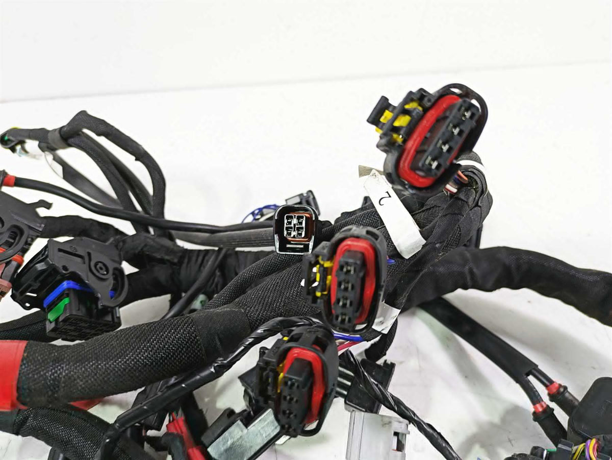2022 MV Agusta F3 800 Rosso Main Wiring Harness Loom 8000C8926 {{ shop.shopifyCountryName }} - Mototech271