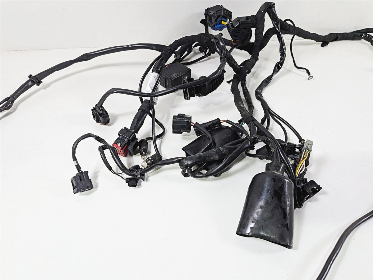 2009 Ducati Hypermotard 1100 S Wiring Harness Loom - Read 51015441A-Mototech271