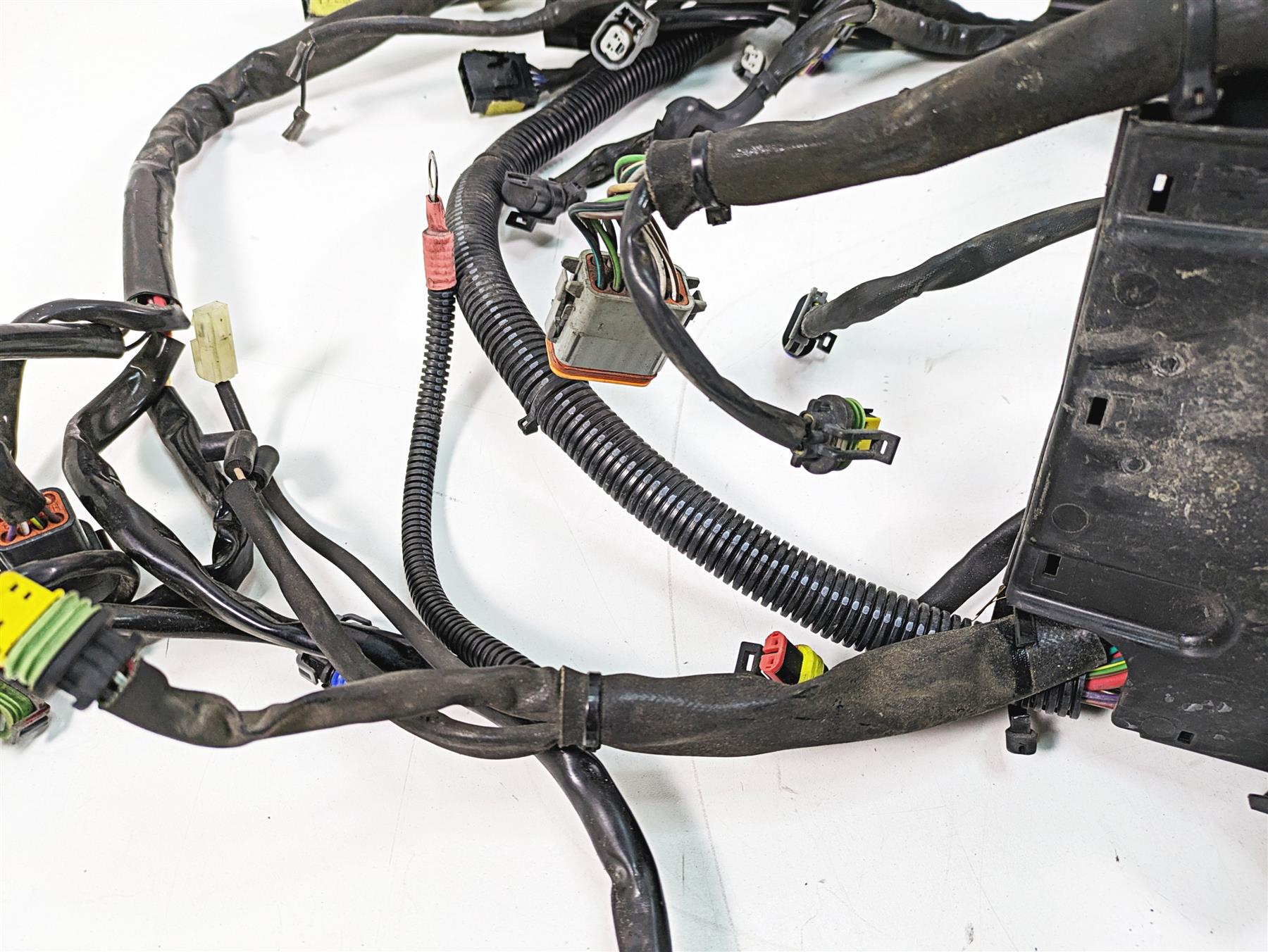 2009 Harley Softail FLSTSB Cross Bones Wiring Harness Loom No Cuts 70431-08A {{ shop.shopifyCountryName }} - Mototech271