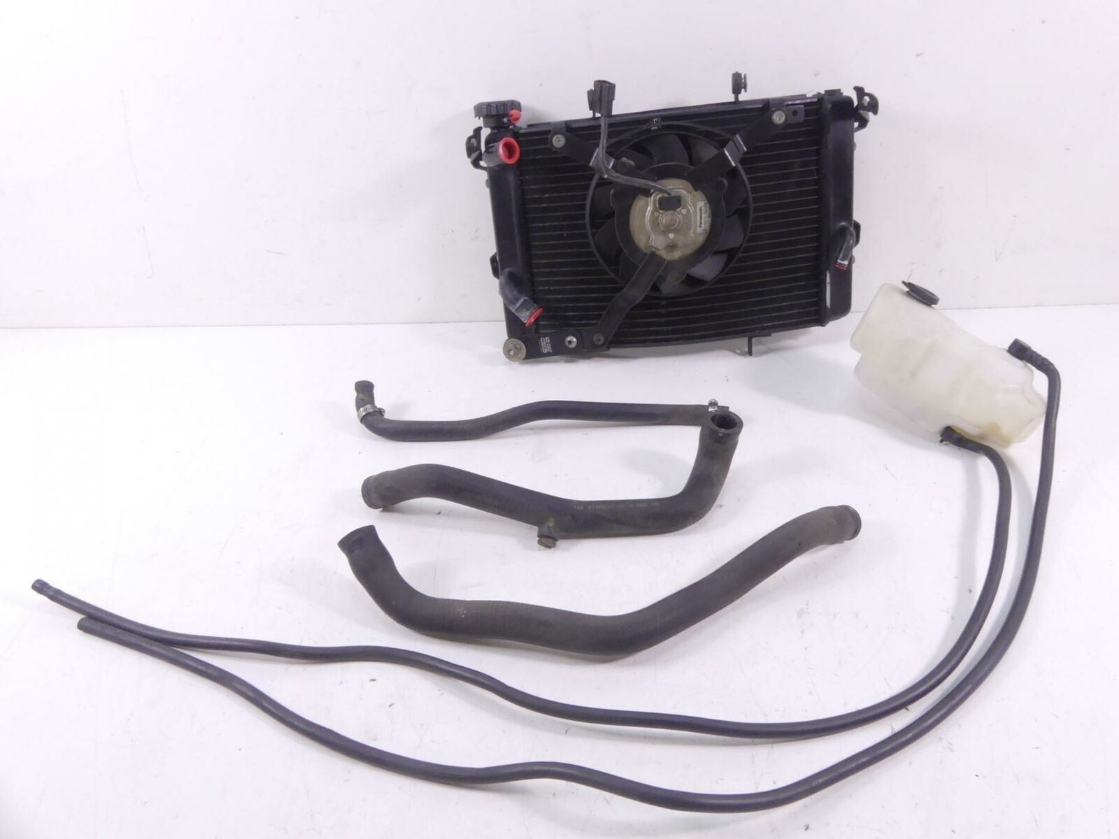 2009 Triumph Street Triple 675R Radiator Cooler Fan Reservoir Hose Set T2100166