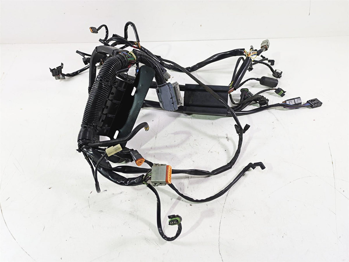 2004 Harley FLSTCI Softail Heritage Wiring Harness Loom EFI 70431-04 {{ shop.shopifyCountryName }} - Mototech271