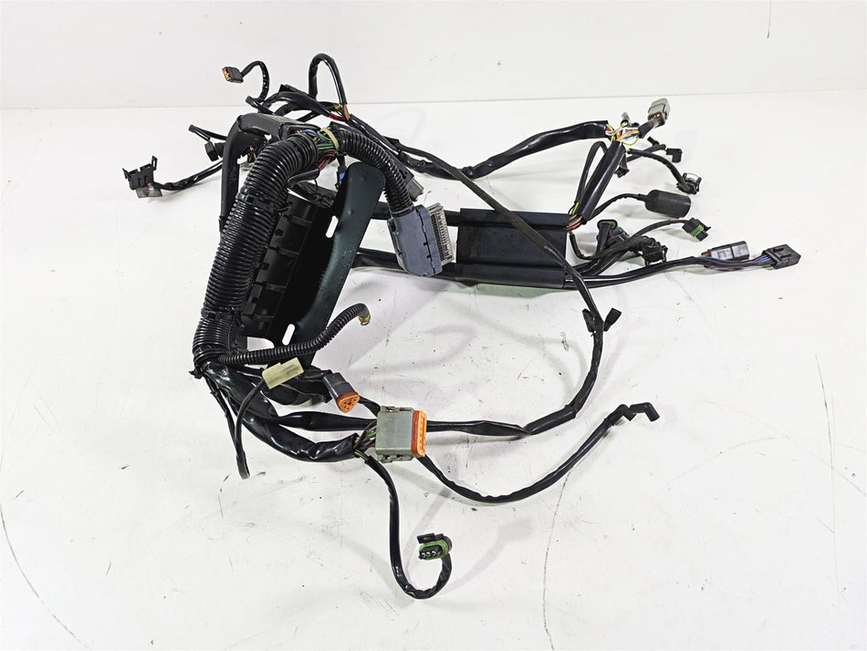2004 Harley FLSTCI Softail Heritage Wiring Harness Loom EFI 70431-04 {{ shop.shopifyCountryName }} - Mototech271