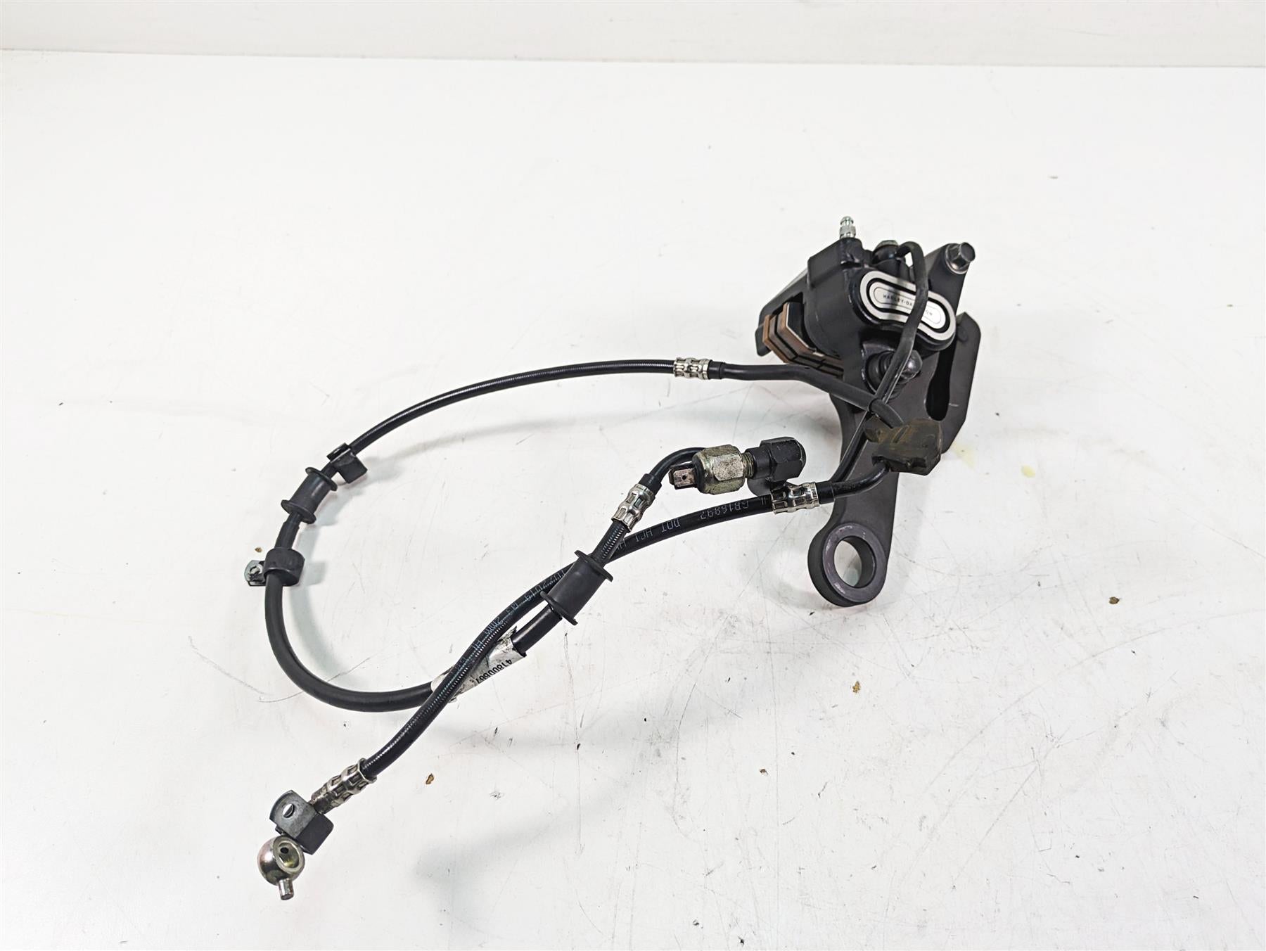 2020 Harley Softail FXBB Street Bob Rear Brake Caliper & Bracket 41300192 {{ shop.shopifyCountryName }} - Mototech271