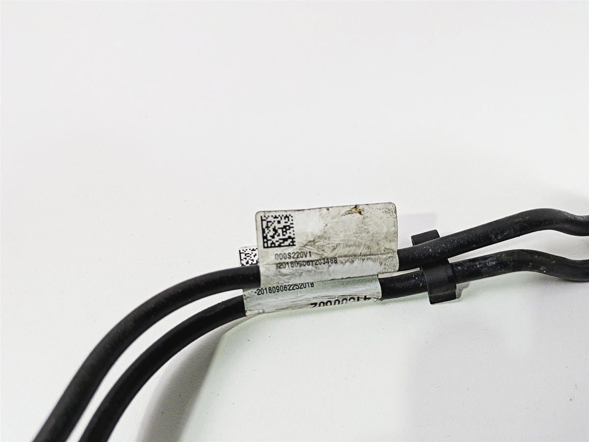 2019 Harley Softail FXDR 114 Rear Abs Brake Line Hose Set 41800602 41800674 {{ shop.shopifyCountryName }} - Mototech271