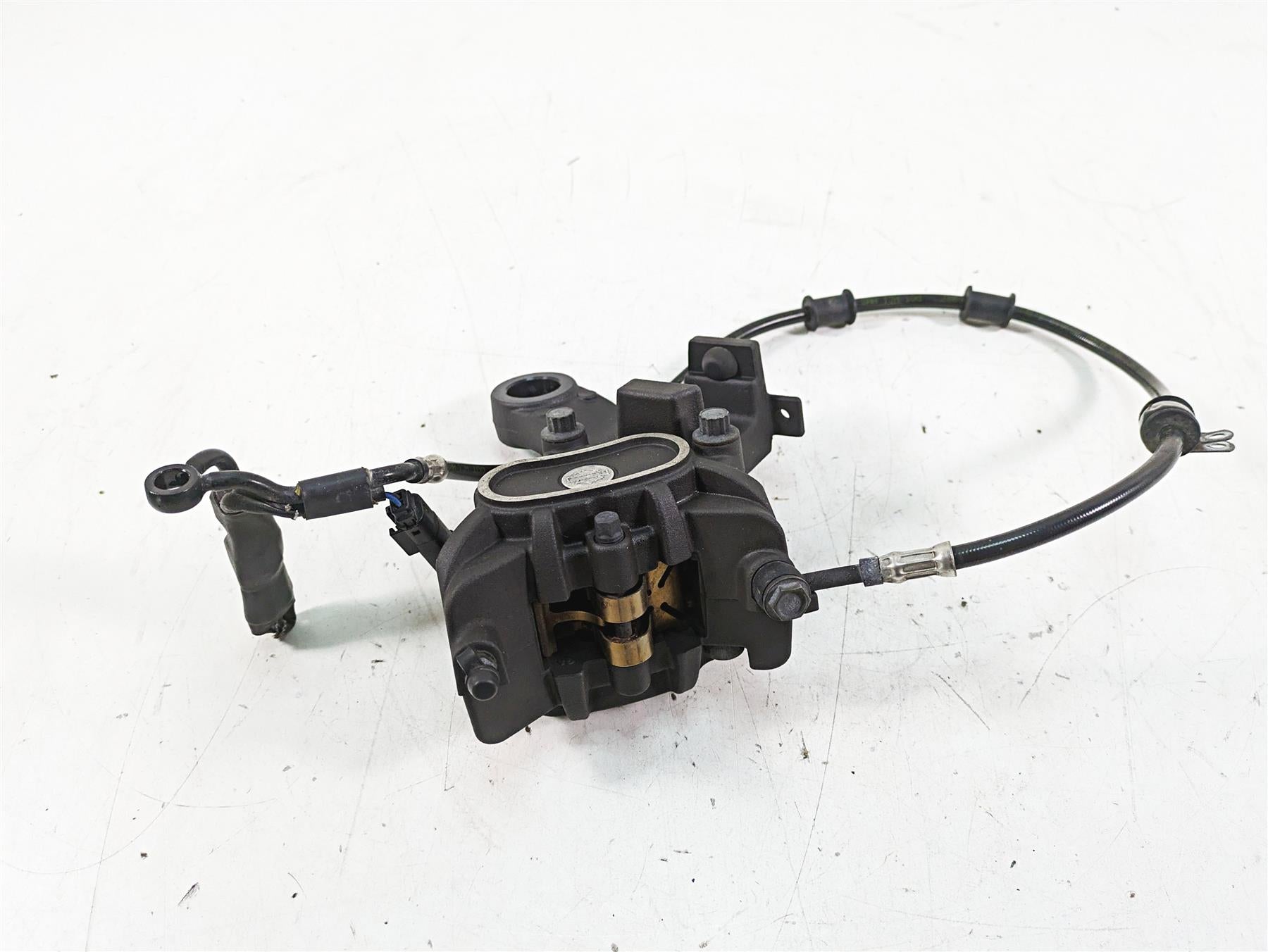 2019 Harley XL883N Sportster Iron Rear Brake Caliper & Bracket, Line 41300039 {{ shop.shopifyCountryName }} - Mototech271
