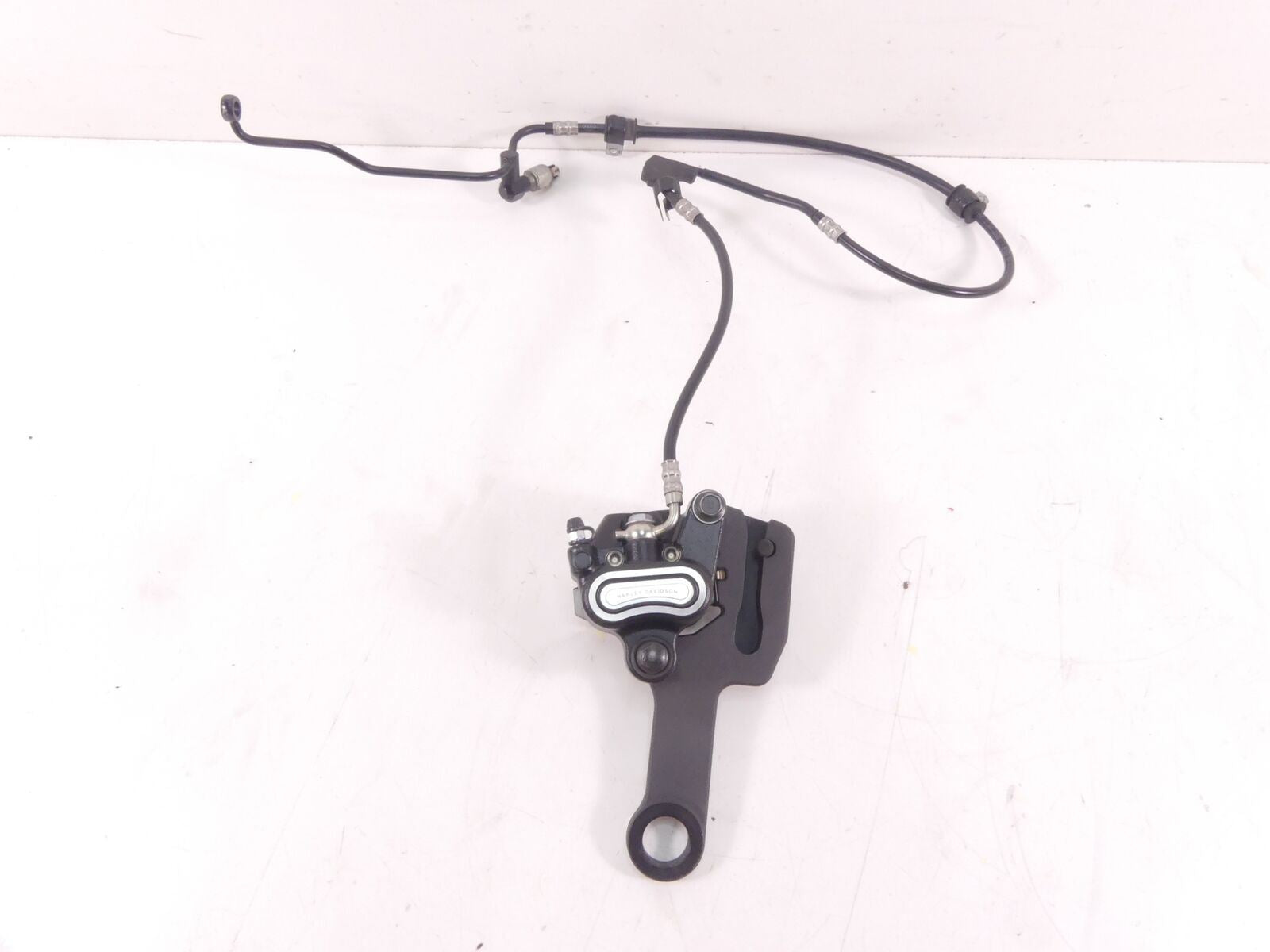 2019 Harley Softail FXBB Street Bob Rear Brake Caliper + Line & Mount 41300192 {{ shop.shopifyCountryName }} - Mototech271